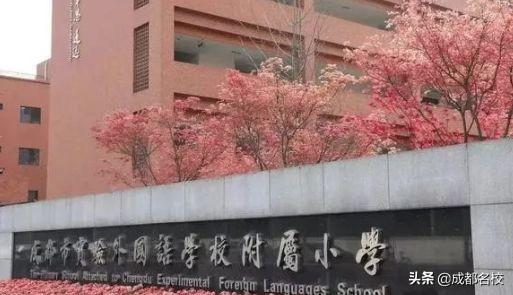 成都私立小學校一覽表(成都排名前十私立小學)