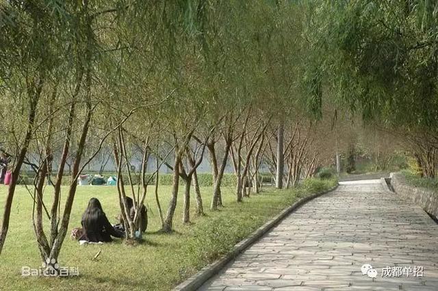 四川幼兒高等師范專科學(xué)校在哪里(四川幼兒高等師范?？茖W(xué)校地址)