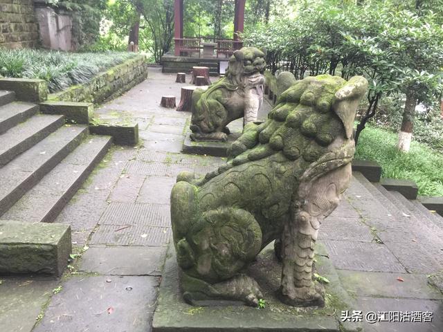 四川省瀘州市職高有哪些(四川省瀘州市職高有哪些專(zhuān)業(yè)適合女生全部)