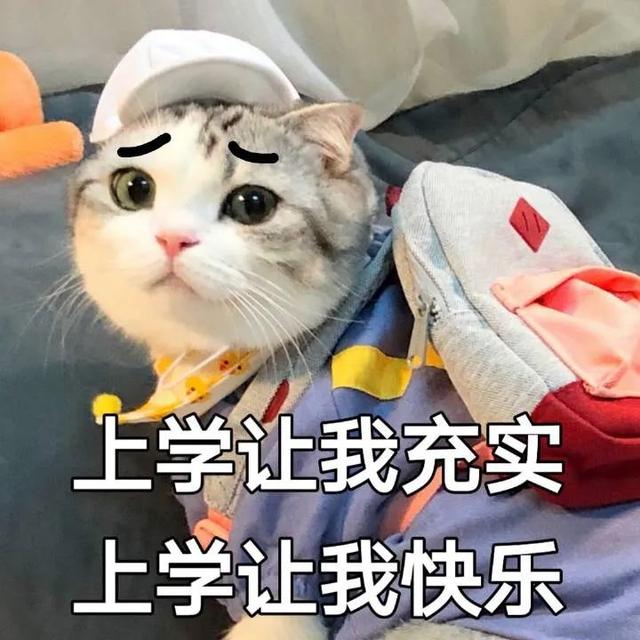 瀘州西南醫(yī)科大學附屬衛(wèi)校(瀘州西南醫(yī)科大學附屬衛(wèi)校分數線)
