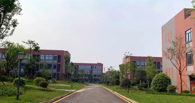 瀘州西南醫(yī)科大學附屬衛(wèi)校(瀘州西南醫(yī)科大學附屬衛(wèi)校分數線)