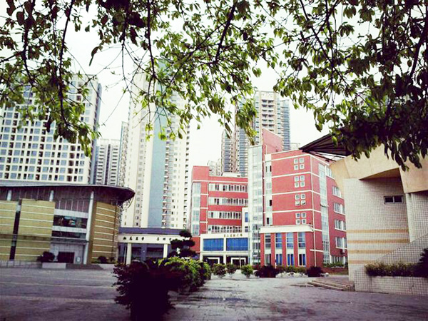 四川省成都衛(wèi)生學(xué)校是大學(xué)嗎(成都鐵路衛(wèi)生學(xué)校可以考哪些大學(xué))