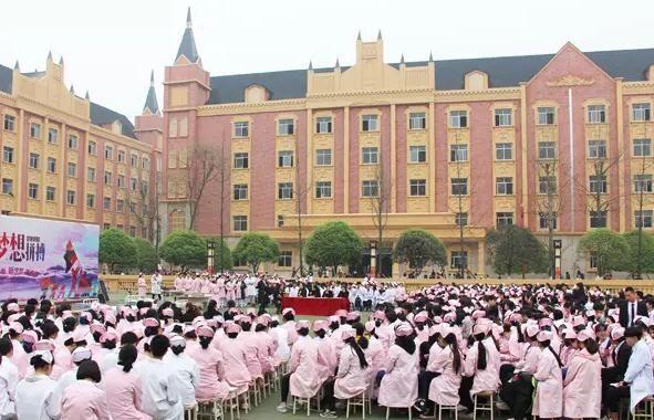 成都公立職高幼師學校有哪些(成都有幾所公立職高學校)