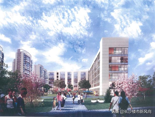 長沙市耀華中學天心區(qū)新校區(qū)(長沙市耀華中學怎么樣)圖1