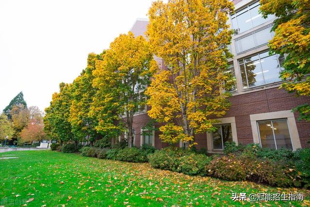 職業(yè)學院有什么專業(yè)(廣東科學技術職業(yè)學院有什么專業(yè))