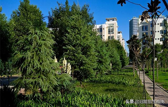 成都職業(yè)技術學院錄取分數(shù)(成都職業(yè)技術學院錄取分數(shù)線2020)