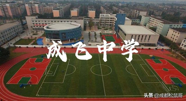 成都3十2學(xué)校有哪些(成都3十2公辦學(xué)校有哪些)圖2