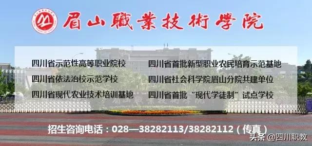 眉山職業(yè)技術(shù)學(xué)院官網(wǎng)(眉山職業(yè)技術(shù)學(xué)院官網(wǎng)首頁(yè))