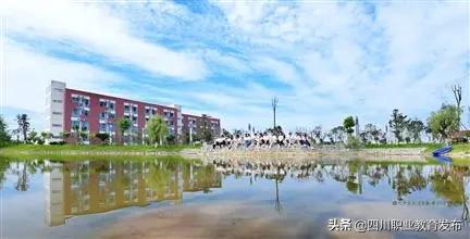 成都學前教育單招有哪些學校(學前教育對口單招學校有哪些)