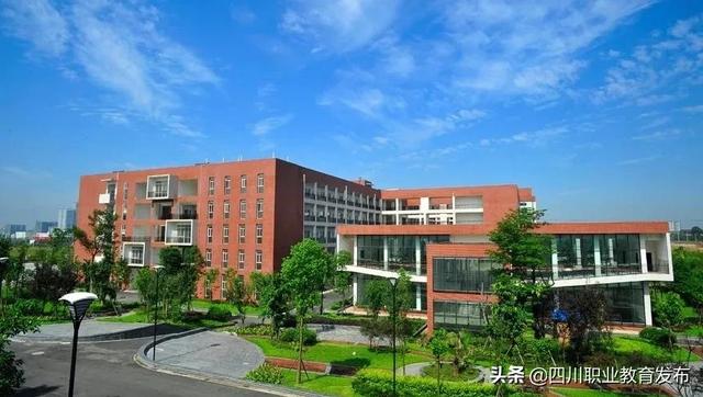 成都學前教育單招有哪些學校(學前教育對口單招學校有哪些)