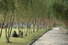 四川幼兒師范高等學院(四川幼兒師范高等學院分數(shù)線)