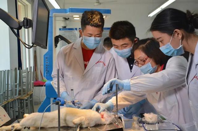 成都鐵路工程學校好不好(成都鐵路工程學校官網(wǎng))