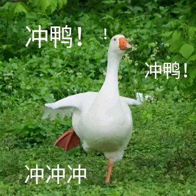 成都市職業(yè)高級(jí)中學(xué)(成都市職業(yè)高級(jí)中學(xué)校)