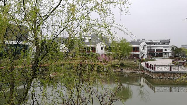 四川幼兒師范高等專科學(xué)校(四川幼兒師范高等?？茖W(xué)校分?jǐn)?shù)線)