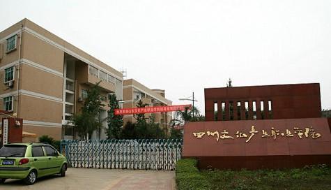 四川文化產(chǎn)業(yè)職業(yè)學(xué)校(四川文化產(chǎn)業(yè)職業(yè)學(xué)院?；?