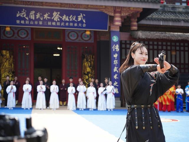 樂(lè)山市大佛文武學(xué)校(峨眉山市大佛文武學(xué)校)