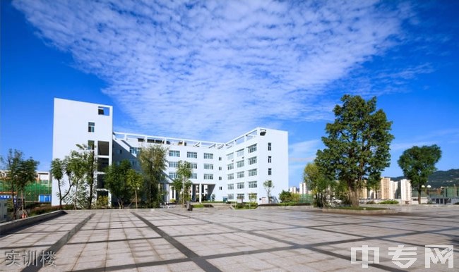宜賓市職業(yè)技術(shù)學校(宜賓市職業(yè)技術(shù)學校地址)