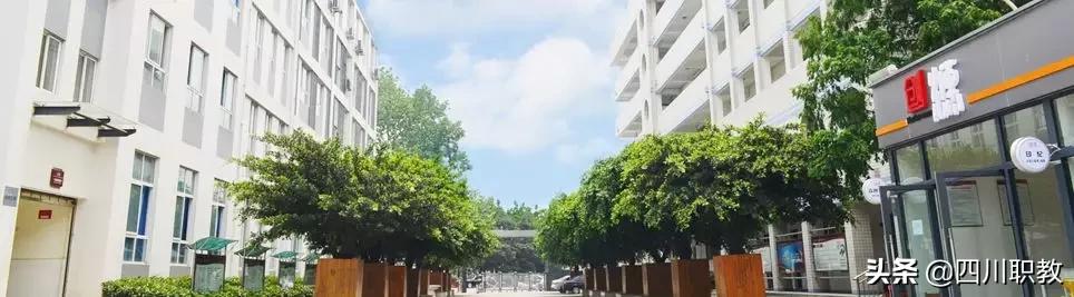 成都市洞子口職業(yè)高級中學(xué)(成都市洞子口職業(yè)高級中學(xué)校官網(wǎng))