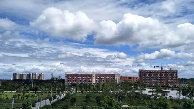 四川幼兒師范高等專科學校(四川幼兒師范高等?？茖W校代碼)