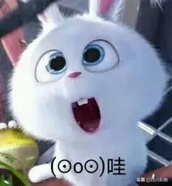四川志翔職業(yè)學校(志翔職業(yè)學校是公辦還是民辦)