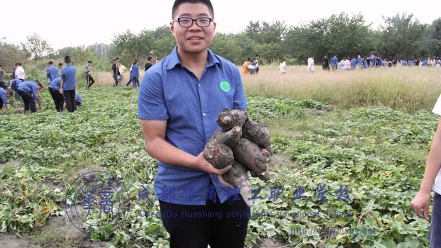成都華商理工職業(yè)學(xué)校怎么樣(成都華商理工職業(yè)學(xué)校怎么樣評價(jià))