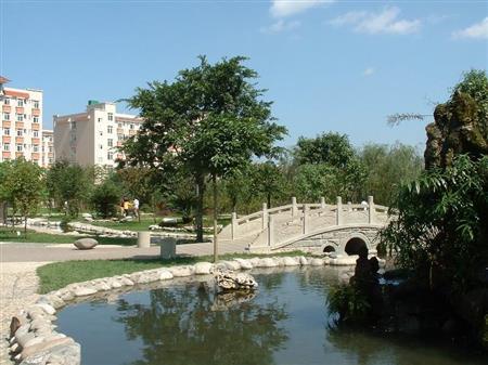 德陽職業(yè)技術(shù)學(xué)校排行榜(德陽建筑職業(yè)技術(shù)學(xué)校錄取分數(shù)線)