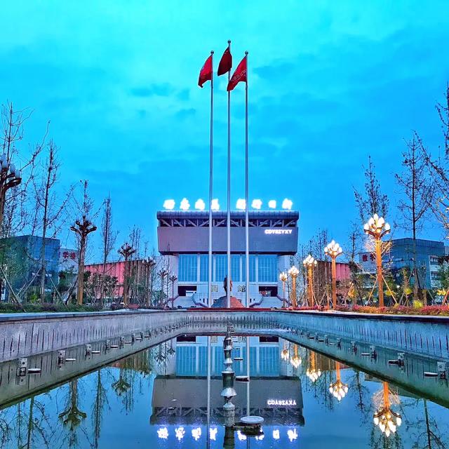 成都藝術(shù)職業(yè)學院學費(成都藝術(shù)職業(yè)學院鄧一)