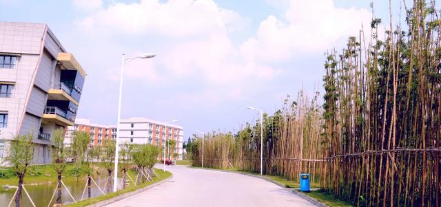 成都藝術(shù)職業(yè)學院學費(成都藝術(shù)職業(yè)學院鄧一)