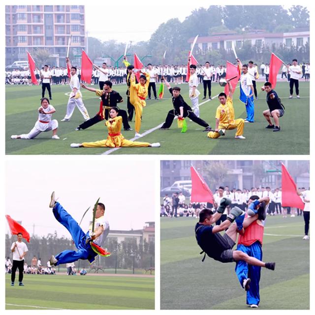 成都藝術(shù)職業(yè)學院學費(成都藝術(shù)職業(yè)學院鄧一)