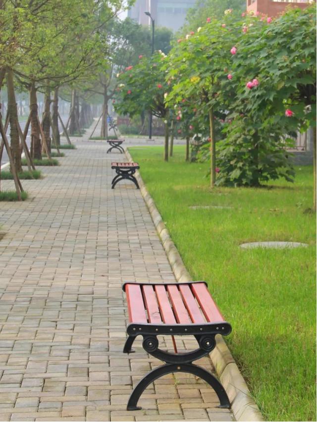 成都有哪些旅游學校(成都航空旅游學校貼吧)
