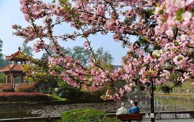 四川專科護(hù)理學(xué)校有哪些的簡單介紹