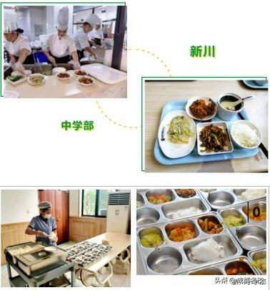 成都科技職業(yè)學(xué)校學(xué)費(成都科技職業(yè)學(xué)校怎么樣)
