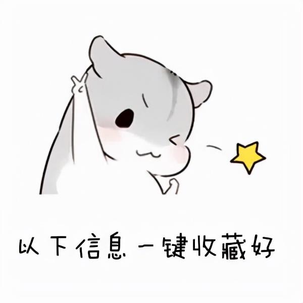 四川公立職業(yè)學(xué)校(四川國際標(biāo)榜職業(yè)學(xué)校)圖2