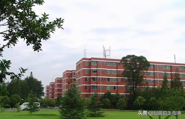 成都計算機學校有哪些(成都哪些計算機學校好)