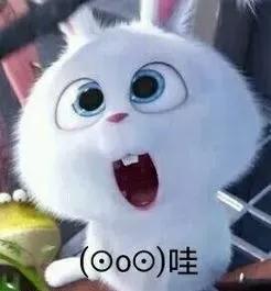 成都志翔職業(yè)學(xué)校(成都志翔職業(yè)學(xué)?？诒貌缓?