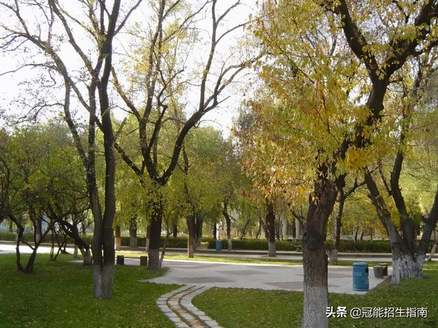 成都成工科技工程技工學校學費(成都成工科技工程技工學校學費多少)