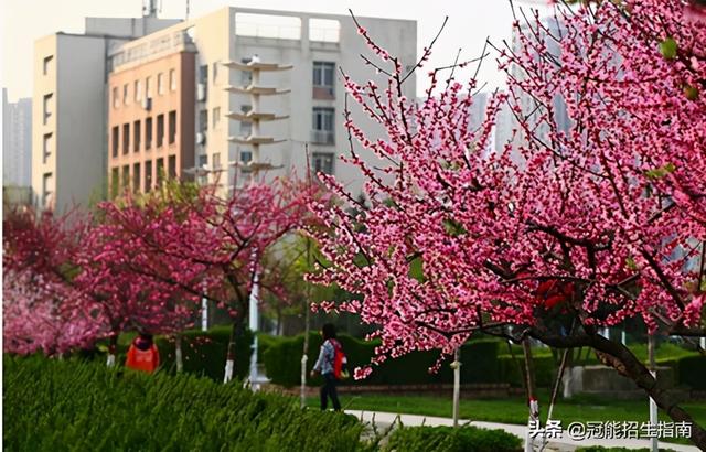 四川最好的護(hù)理?？茖W(xué)校(四川省內(nèi)護(hù)理學(xué)校排名)
