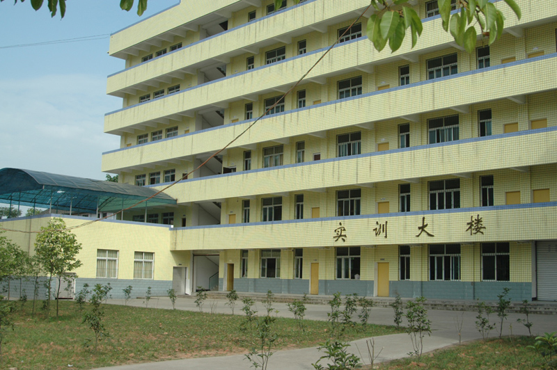 宜賓有哪些職業(yè)學校(四川宜賓職業(yè)技術學校)