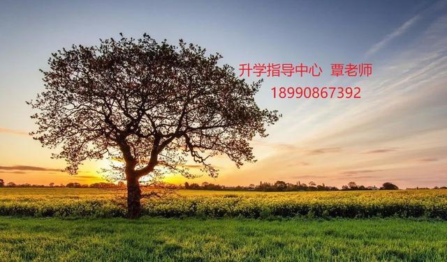 南充鐵路學校在哪里(南充蠶絲學校在哪里)
