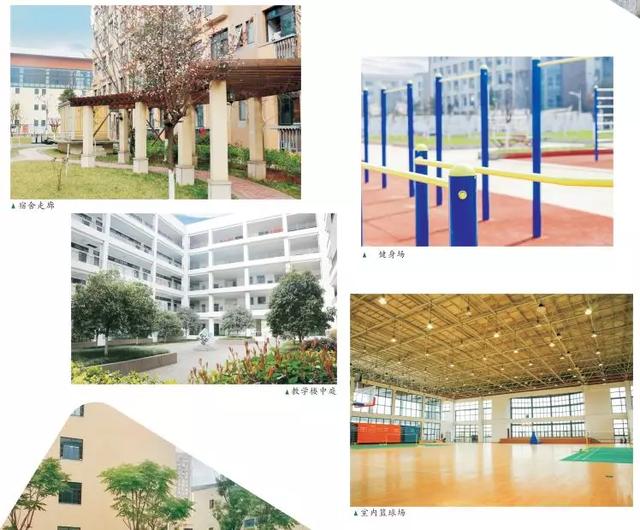 四川技術職業(yè)學校學費(四川技術職業(yè)學校排名)
