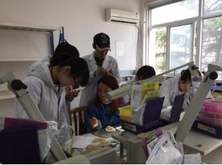 成都市鐵路學校怎么樣(成都市鐵路衛(wèi)生學校校歌)