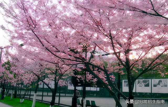 成都市計算機職業(yè)學校(鎴愰兘甯傝綆楁満絳夌駭鑰冭瘯)