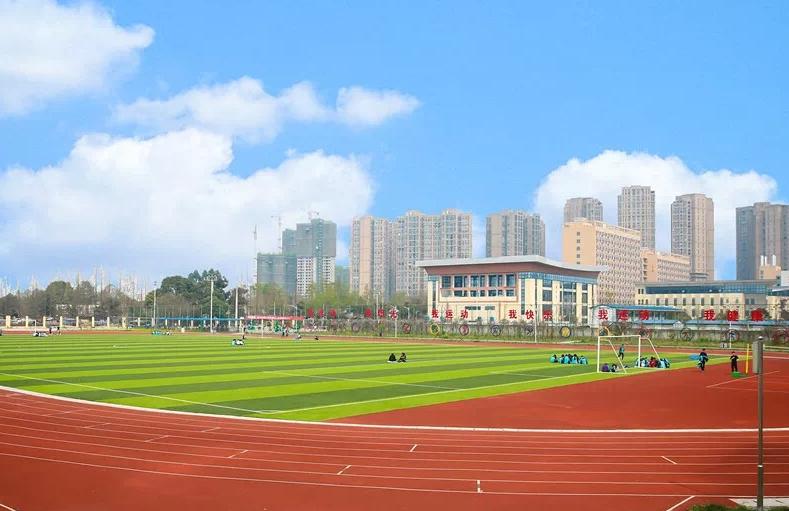 四川機電學(xué)校好不(四川機電學(xué)院職業(yè)技術(shù)學(xué)院官網(wǎng))