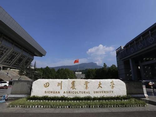 雅安高鐵學校(四川高鐵招生)