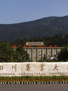 雅安高鐵學校(四川高鐵招生)